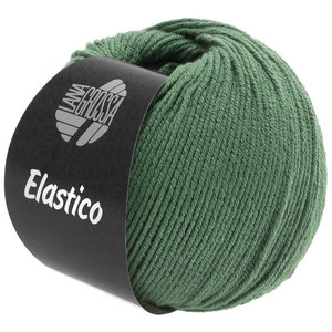 Lana Grossa Elastico 141 - Resedagroen