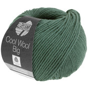 Lana Grossa Cool Wool Big 1004 - Mosgroen