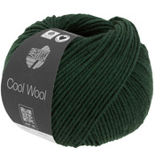 Lana Grossa Cool Wool 1413 - Spar Gemêleerd