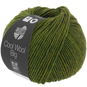 Lana Grossa Cool Wool Big 1611 - Groen Gemêleerd