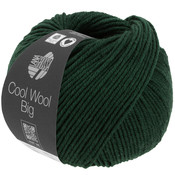 Lana Grossa Cool Wool Big 1613 - Spar Gemêleerd