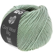 Lana Grossa Cool Wool Big 1619 - Grijs Groen Gemêleerd