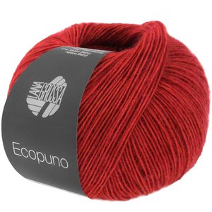 Lana Grossa Ecopuno 81 - Orientrood