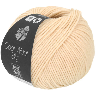 Lana Grossa Cool Wool Big 1016 - Schelp
