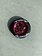 Fasen  Raven Wheels Red