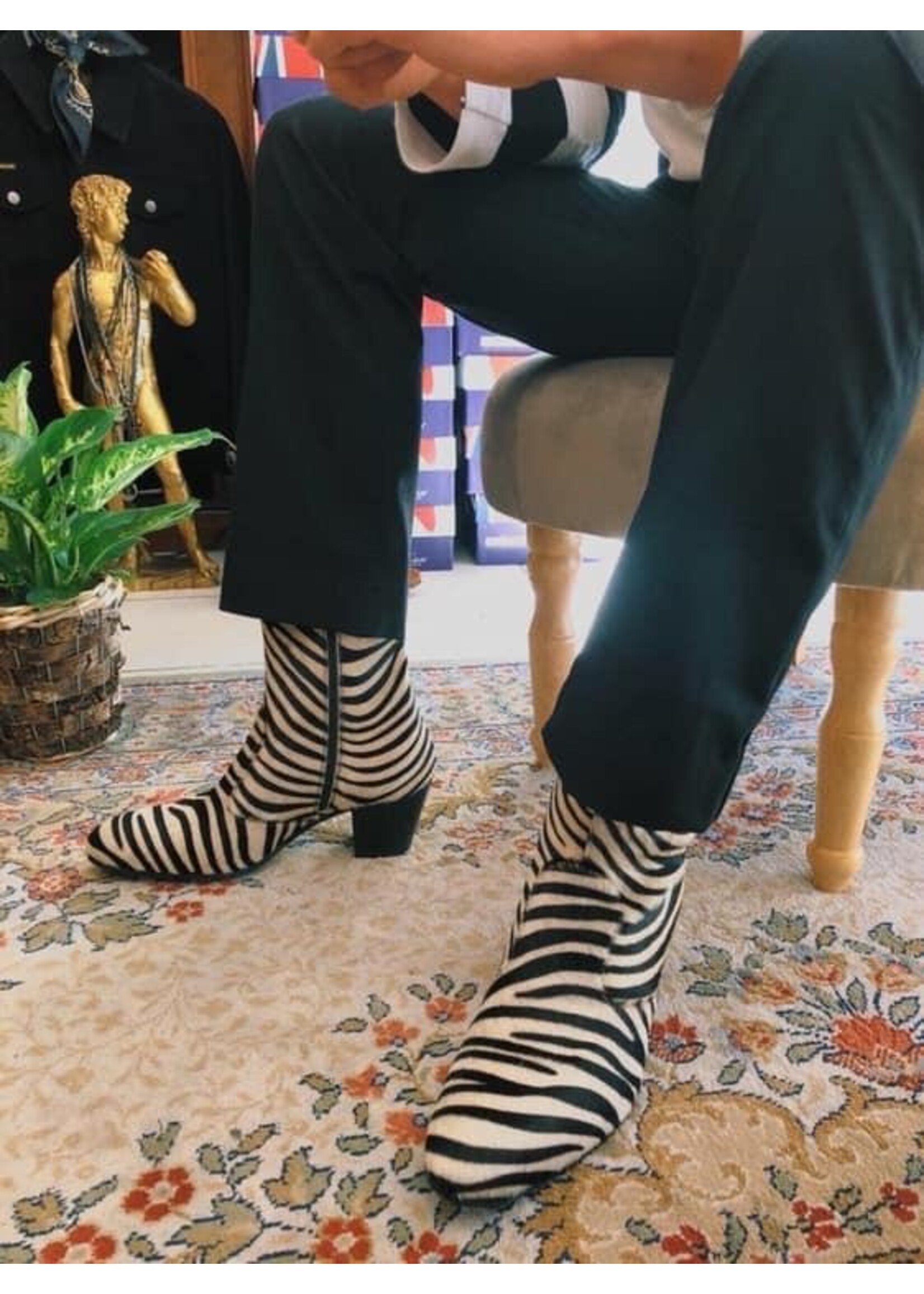 Zebra Boot