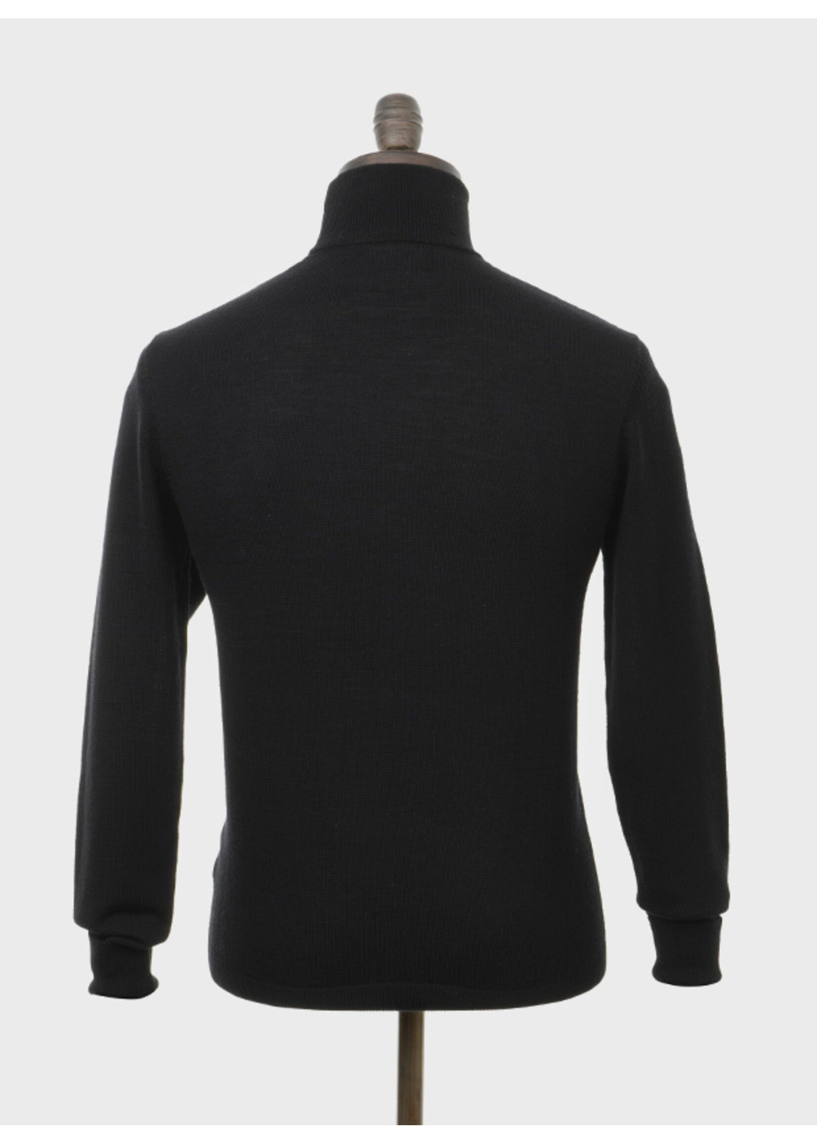 Rollkragenpullover in schwarz
