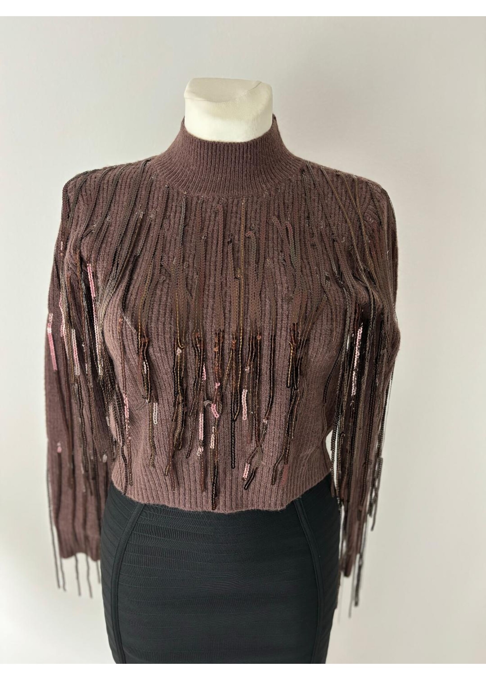 Pulli dunkelbraun mit Pailletten
