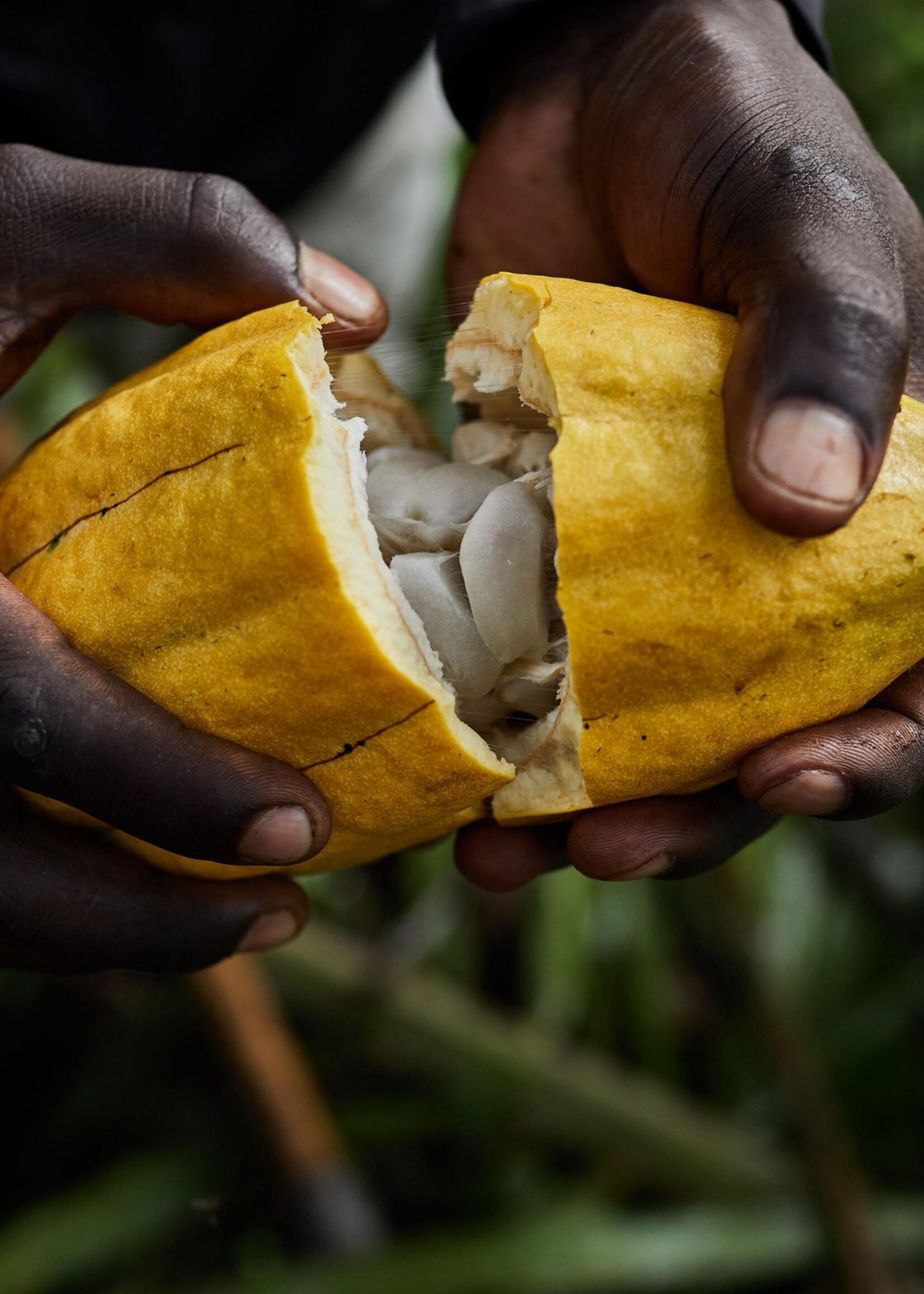 Virunga Chocolate Bar  - 61% Pure chocolade met pindanoten