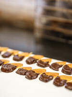 Orangettes slice dark chocolate