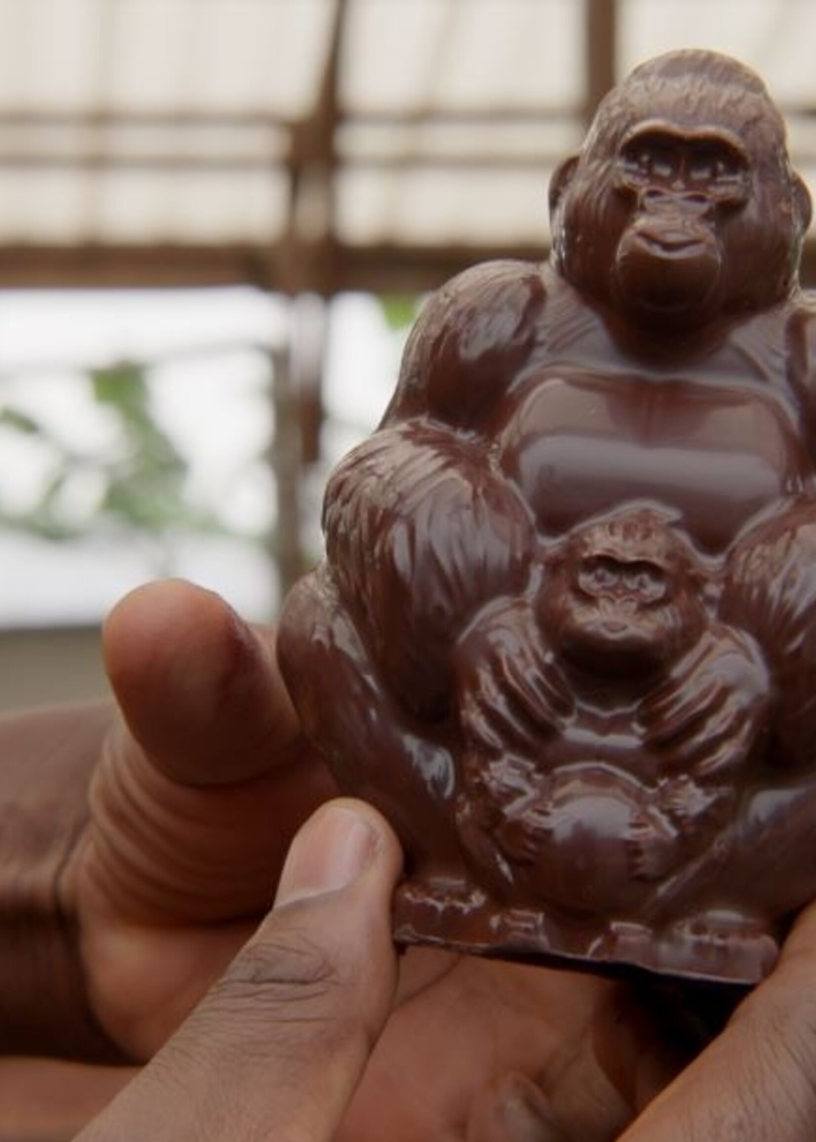Virunga Gorilla