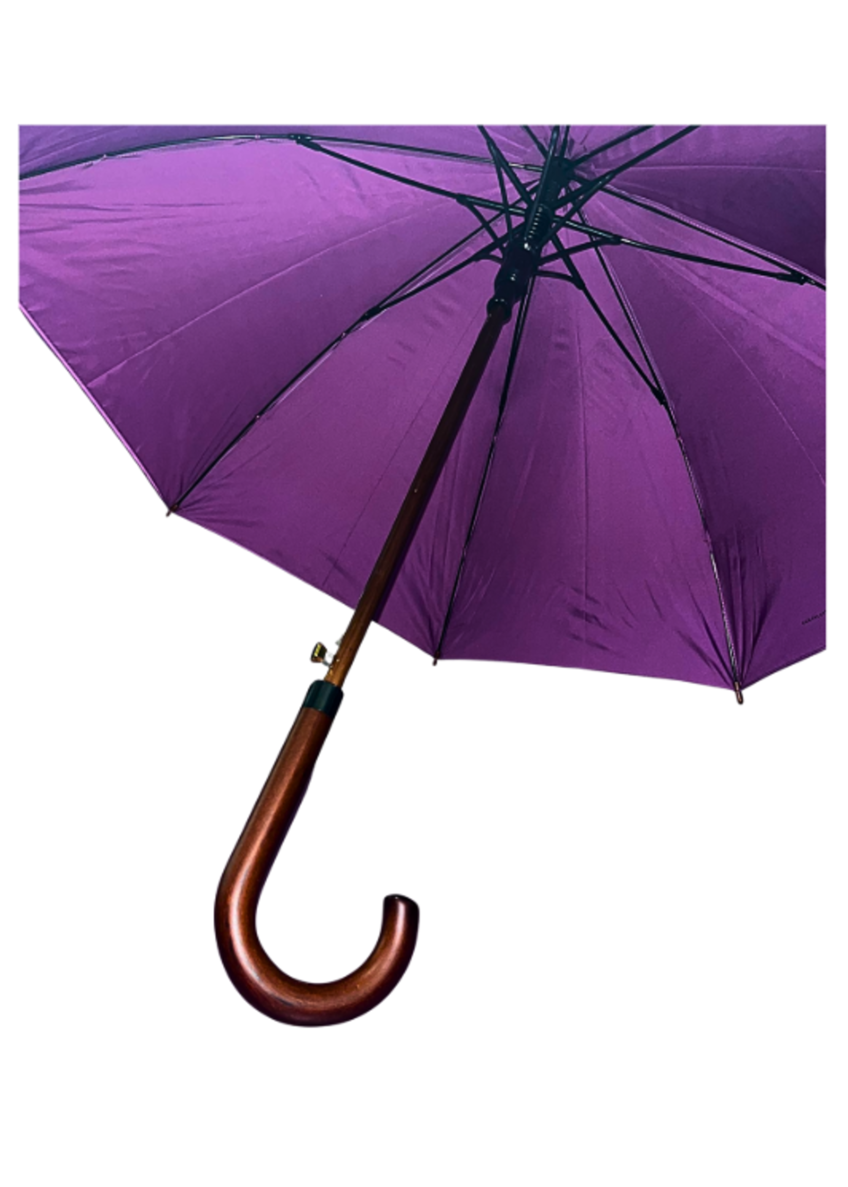 Umbrella