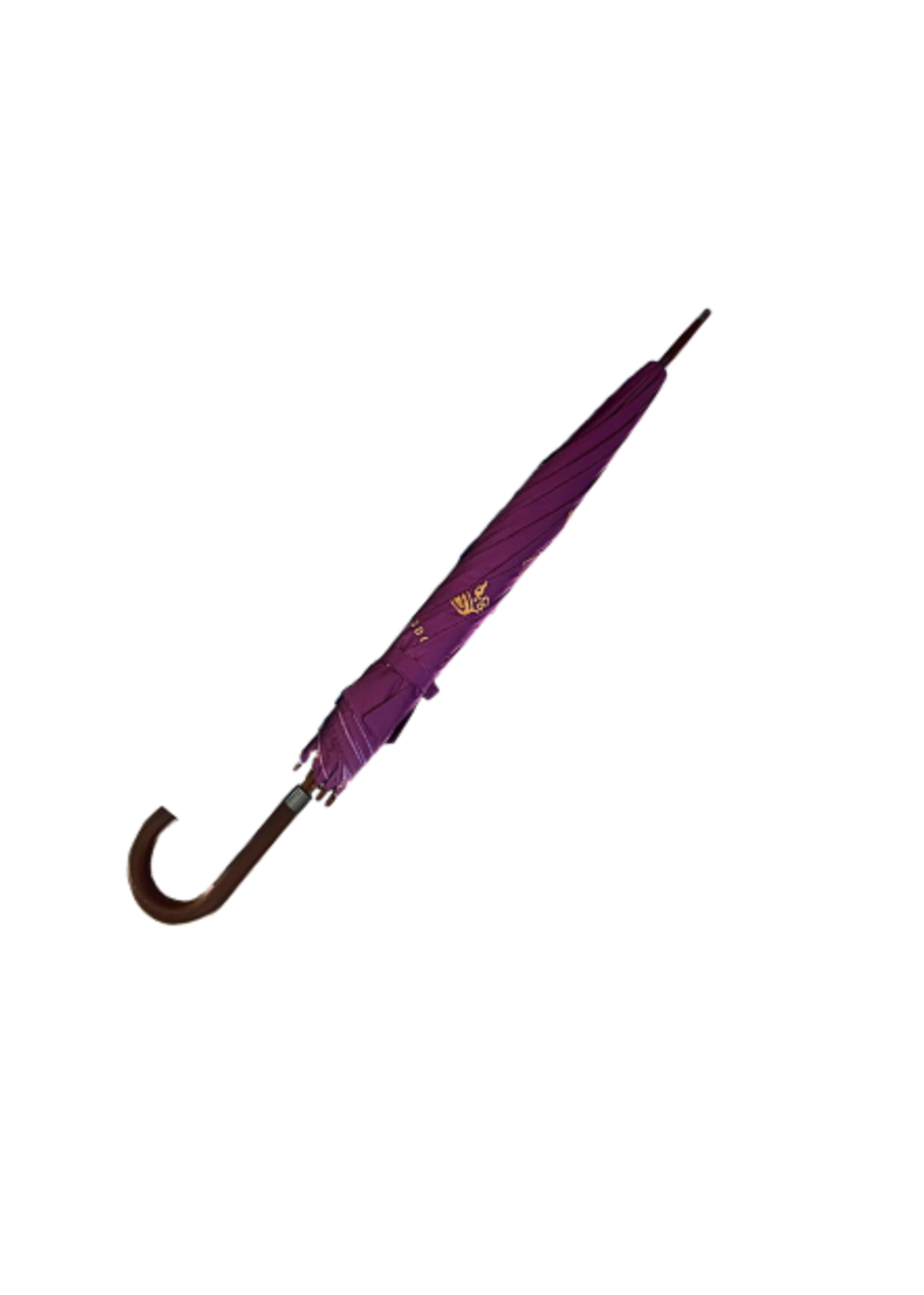 Paraplu
