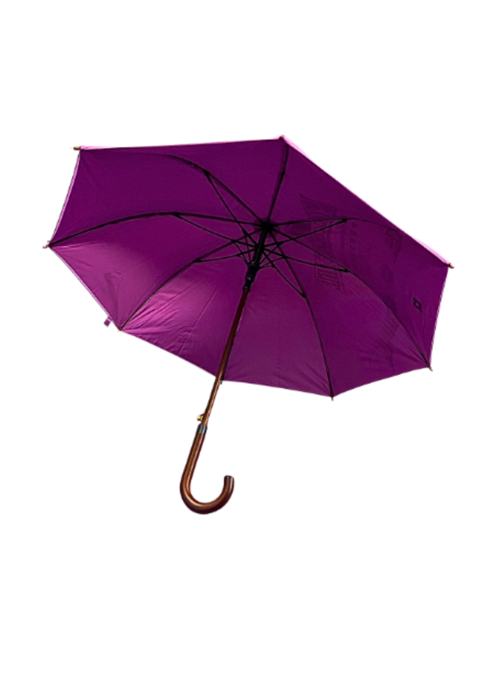 Umbrella