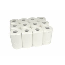 Witte Handdoekrol | Mini | 12 st. | 1 lgs. 120m | Hygiëne papier