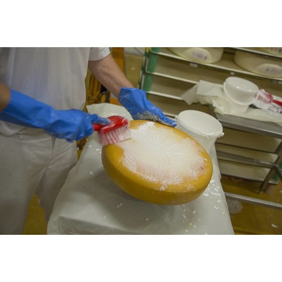 Afwasborstel | Zacht | Universeel | Afwas | Vikan | Hygiene | Horeca | Food | Voedselveiligheid