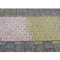 Huchem Groene aanslag verwijderaar | Reiniger | 1000L IBC | Ontmosser | Anti-Alg