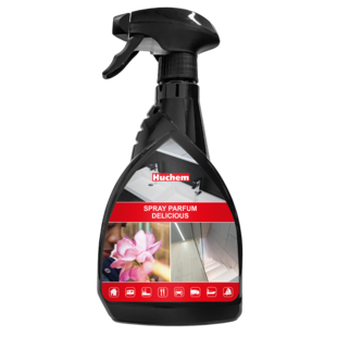 Luchtverfrisser Delicious | Air Freshener | Spray Parfum | Concentraat | Parfum | Roomspray | 500 ml.