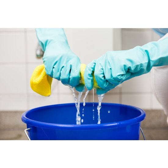 Huchem Mopwagen Mopkar met Pers en 2 Emmers 2×25 L – Chrome Rood/Blauw | Professionele Schoonmaakwagen