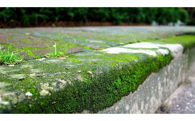 Groene aanslag verwijderen