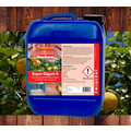 Huchem Allesreiniger Super Gigant Citro Industriële – krachtig & biologisch afbreekbaar | 10 L