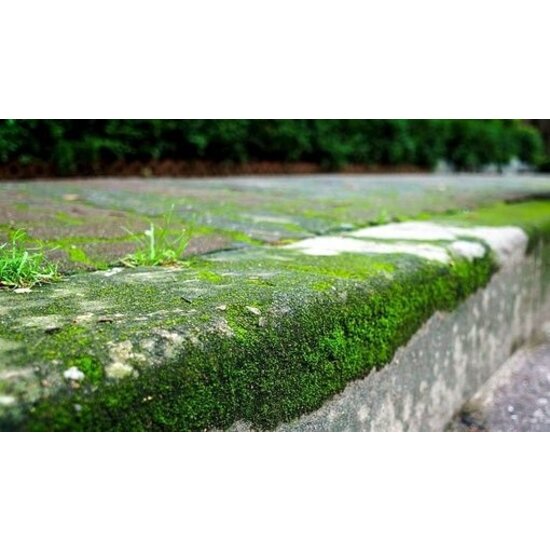 Huchem Groene Aanslag Verwijderaar | Reiniger | 10L | Ontmosser | Anti-Alg