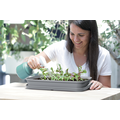 Plantenspuit | Sproeier | Sprayer | 600ml | Spuitfles | Sprayfles | Tuinieren