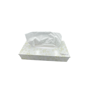 Tissues | 100 st | 2 lgs | Facial Cellulose | Gezichtsdoekjes | Premium | Handdoekjes | Dispensersdoos | Zakdoekjes