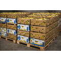 Huchem Chloorreiniger | 10L| Niet-schuimend | Cleaner EX NF | Ontsmetter | Groente en Fruit industrie | Rijpcellen | zuivel | Kaas | Food