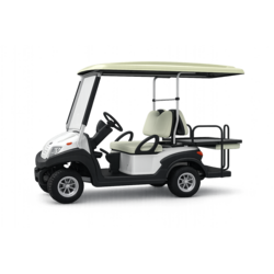 Crew Carrier Elektrisch Huren | Golfkar | 2-4 Personen