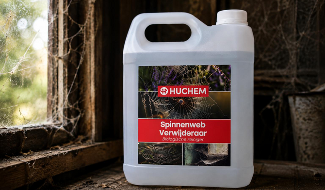 Spinnenwebben verwijderen en voorkomen: zo doe je het goed