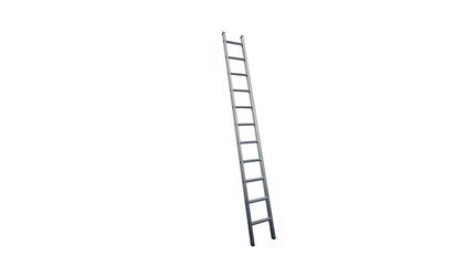 Enkele ladders