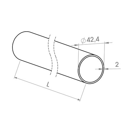 Inox buis (rond) - gepolijst - 42,4 mm