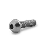 Inox bolkop inbusschroef - M5 x 12 mm