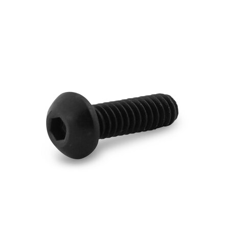 Inox bolkop inbusschroef - M5 x 12 mm