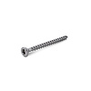 Inox houtschroef verzonken torx - 6 x 80 mm