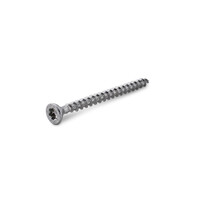 Inox houtschroef verzonken torx - 6 x 80 mm