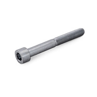 Inox inbusbout cilinderkop - M6 x 75 mm