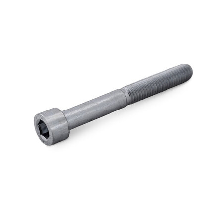Inox inbusbout cilinderkop - M6 x 75 mm