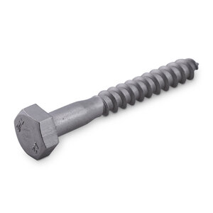 Inox houtdraadbout - M10 x 70 mm