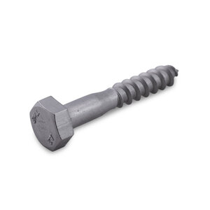 Inox houtdraadbout - M10 x 50 mm