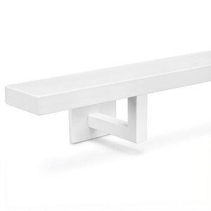 Witte trapleuning - rechthoekig (50x20 mm) + dragers TYPE 11