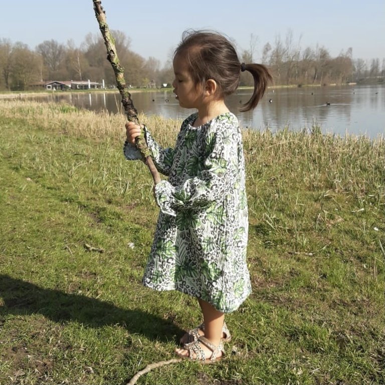 Flare Dress / Sleeve – Soft Nature Leaves Leopard