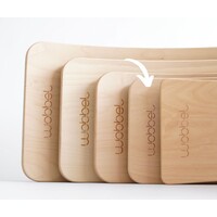 Wobbel Pro (new)