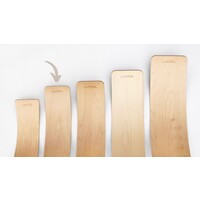 Wobbel Pro (new)