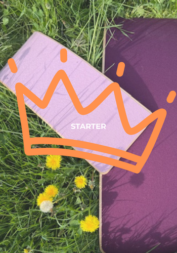 SAMPLE '26 Starter mit Filz 