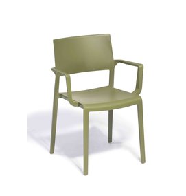 FP ELISA ECO met armleggers - Kunststof stoelen