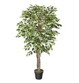 Multi Meubel HTT Decorations - kunstplant Ficus bont H150cm