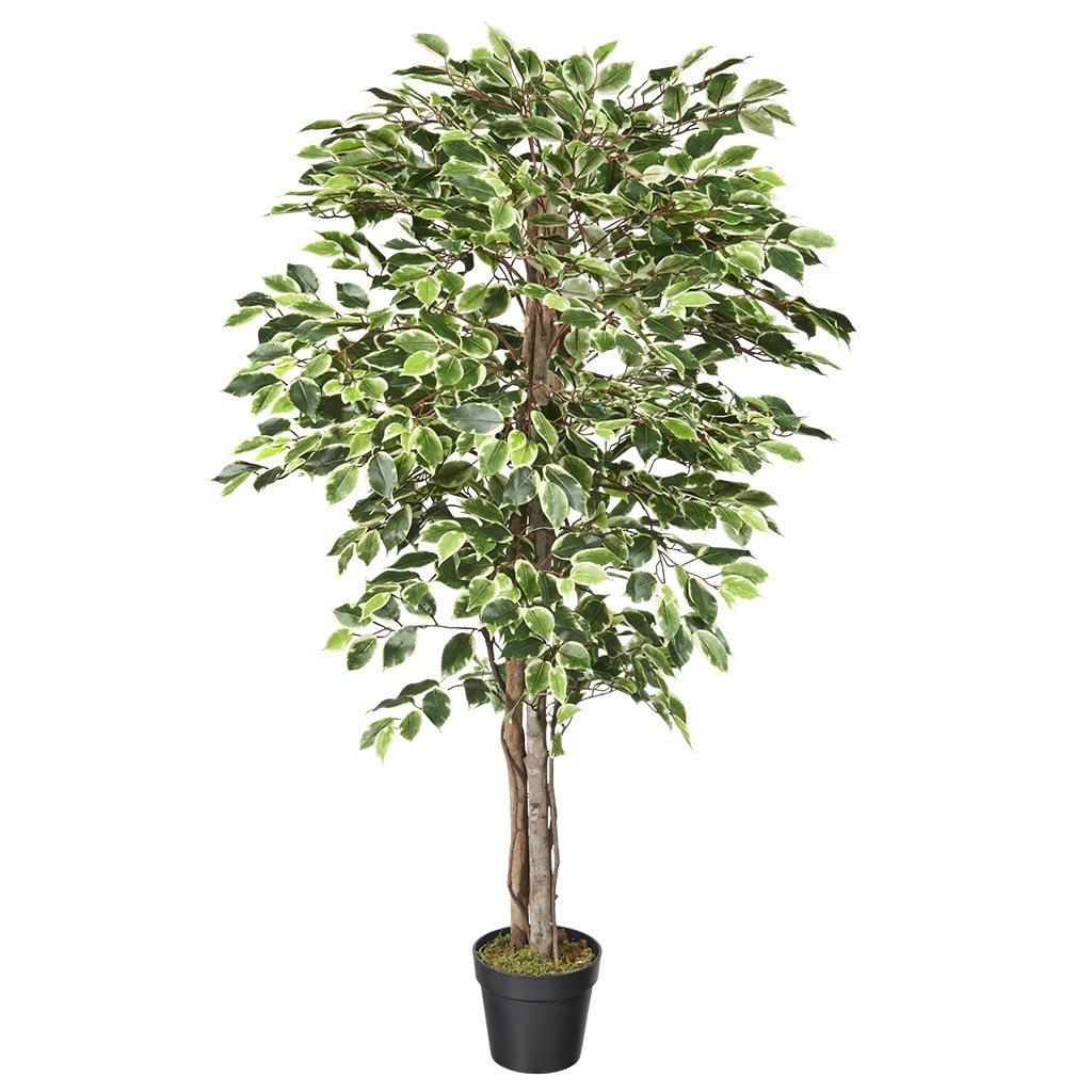 Multi Meubel HTT Decorations - kunstplant Ficus bont H150cm