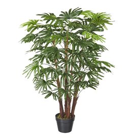 Multi Meubel HTT Decorations - kunstplant Fortunei palm H110cm